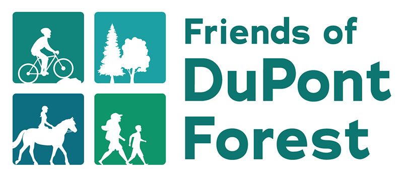 Friends-of-DuPont-Forest-Logo-2019