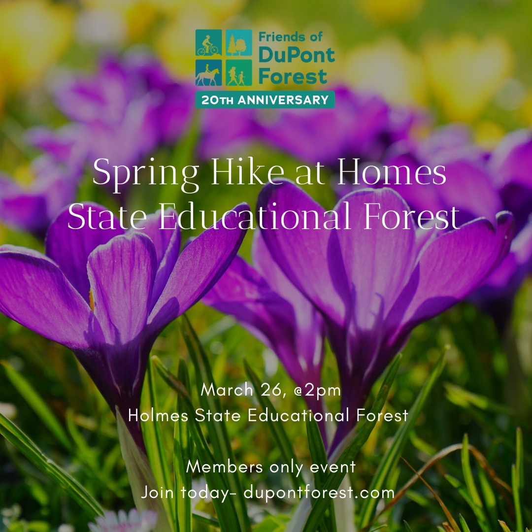 Spring Hike at Homes State Educational Forest